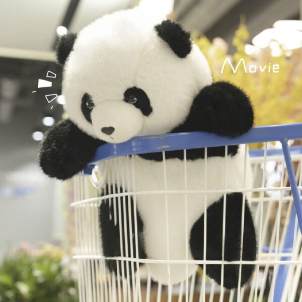 商品图像